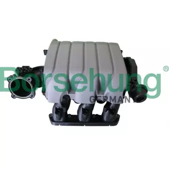 Tube d'admission, alimentation d'air Borsehung OEM 06E133201L