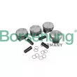 Borsehung B11134 - Jeu de segments de pistons