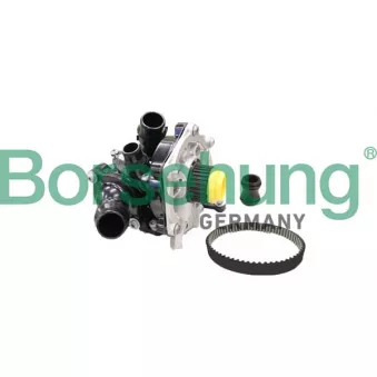 Kit pompe à eau Borsehung OEM 06K121111R