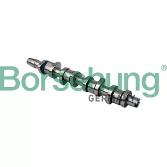 Arbre à came Borsehung OEM 038109101AF