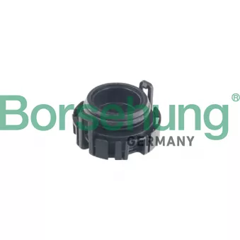 Borsehung B12240 - Valve de pression d'huile