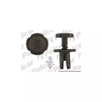 Rivet à expansion Polcar OEM 6555LE