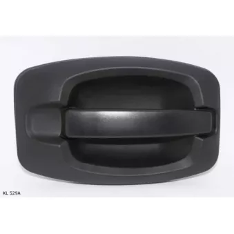 Poignée de porte TEKNÖR OEM 9117G2