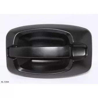 Poignée de porte TEKNÖR OEM 9117G2