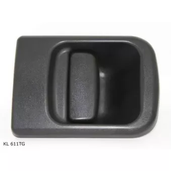 Poignée de porte arrière droit TEKNÖR OEM 7700352433