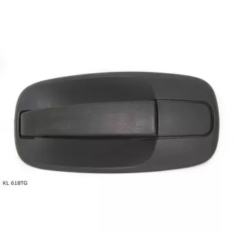 Poignée de porte avant droit TEKNÖR OEM 91168527