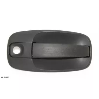 Poignée de porte TEKNÖR OEM 91168527