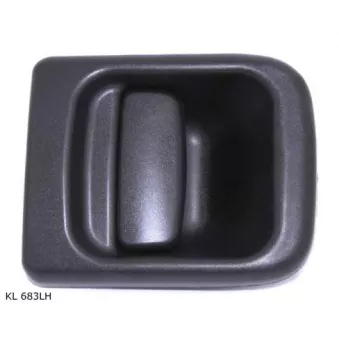 Poignée de porte avant gauche TEKNÖR OEM 4500488