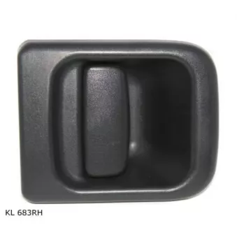 Poignée de porte avant droit TEKNÖR OEM 4500489