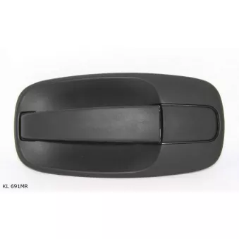 Poignée de porte TEKNÖR OEM 826070711R