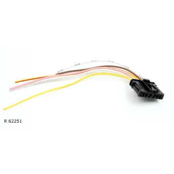 Kit de montage, kit de câbles SAMAXX R 62251 pour CITROEN C5 3.0 V6 - 207cv