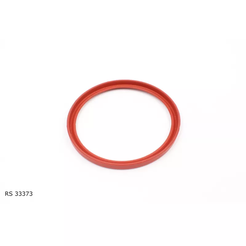 Bague d'étanchéité, gaine de suralimentation TEKNÖR RS 33373 - Visuel 1