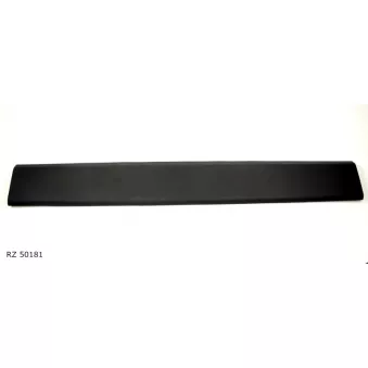 Baguette et bande protectrice, panneau latérale TEKNÖR OEM 828200148R