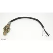 TEKNÖR EXP 624E4 - Sonde lambda