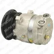 Compresseur, climatisation DELPHI [TSP0155013]