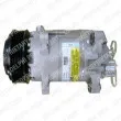 DELPHI TSP0155060K - Compresseur, climatisation