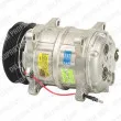 DELPHI TSP0155068 - Compresseur, climatisation