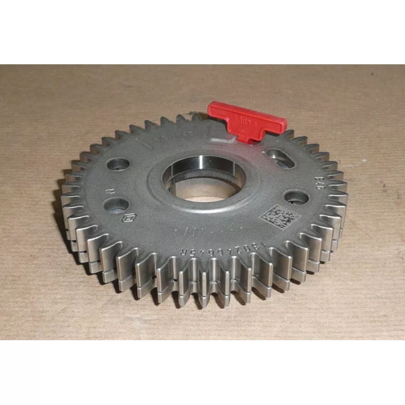 Roue dentée, arbre à cames OE 130246645R - Visuel 2
