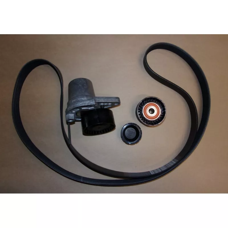 Kit de courroie d'accessoires OE 117202957R - Visuel 1