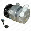 DELPHI TSP0155095 - Compresseur, climatisation