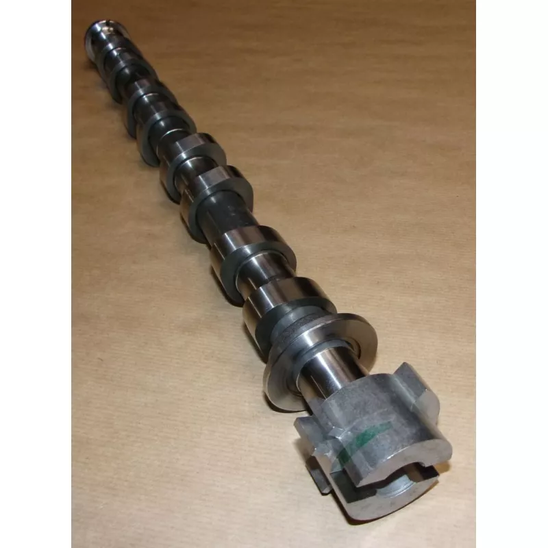 Arbre à came OE 130200296R - Visuel 2