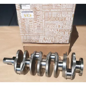 Vilebrequin OE 122014213R