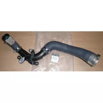 Gaine de suralimentation OE OEM 144601001R