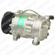 DELPHI TSP0155243 - Compresseur, climatisation