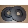 OE 402067902R - Jeu de 2 disques de frein avant