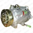 DELPHI TSP0155251 - Compresseur, climatisation