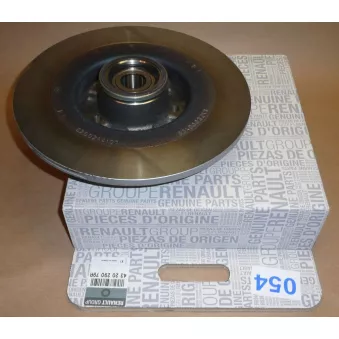 Jeu de 2 disques de frein arrière OE OEM 432029079R