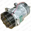 DELPHI TSP0155297 - Compresseur, climatisation