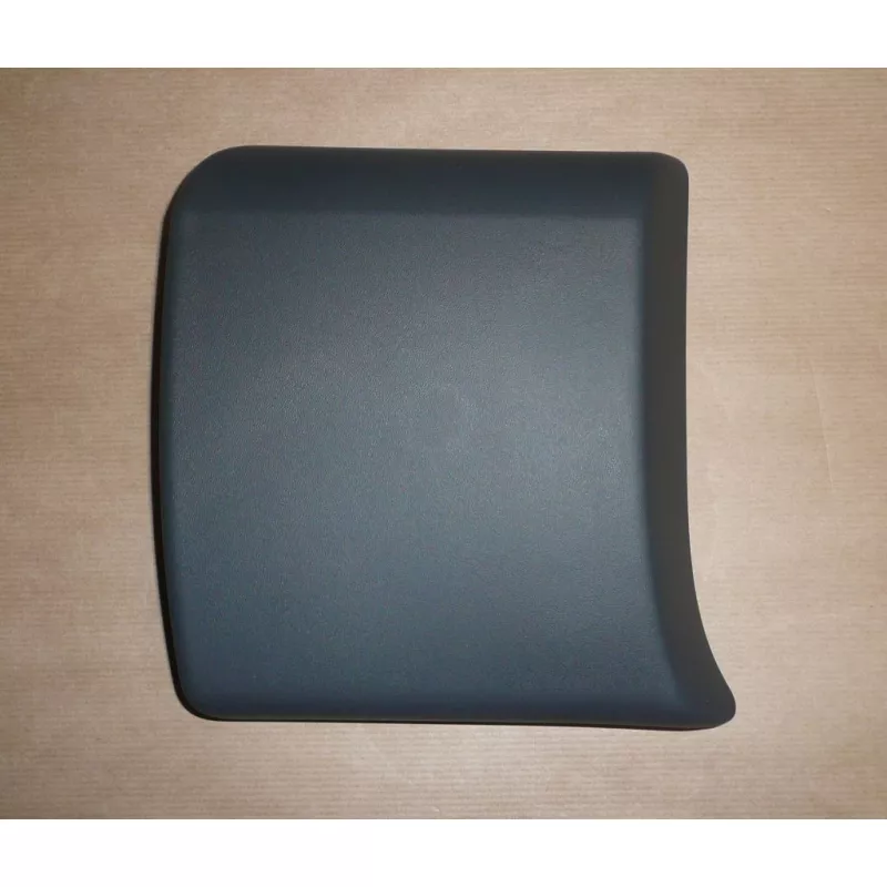 Baguette et bande protectrice, panneau latérale OE 8200036101 - Visuel 1