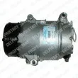DELPHI TSP0155351 - Compresseur, climatisation