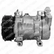 DELPHI TSP0155369 - Compresseur, climatisation