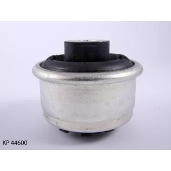 Silent bloc de suspension (train avant) TEKNÖR OEM 545014055R
