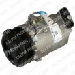 DELPHI TSP0155440 - Compresseur, climatisation