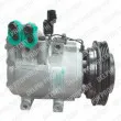 DELPHI TSP0155497 - Compresseur, climatisation