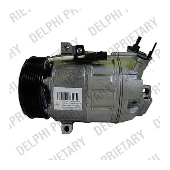 Compresseur, climatisation DELPHI TSP0155876 pour RENAULT LAGUNA 2.0 DCI - 150cv