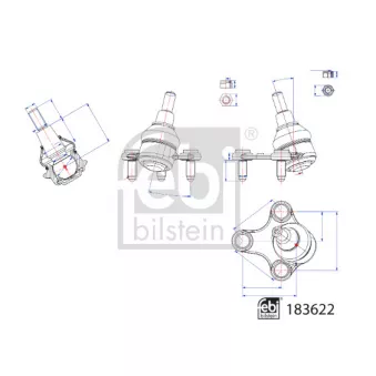 FEBI BILSTEIN 183622 - Rotule de suspension avant gauche