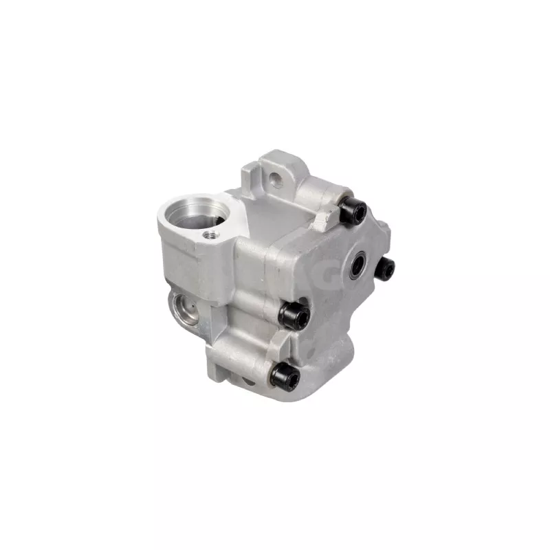 Pompe à huile SWAG 33 10 6929 - Visuel 1