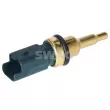 SWAG 33 10 9239 - Sonde de température, liquide de refroidissement