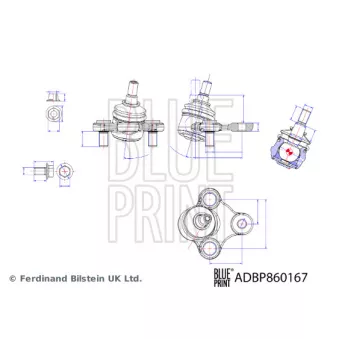 BLUE PRINT ADBP860167 - Rotule de suspension avant droit