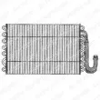 DELPHI TSP0525038 - Evaporateur climatisation
