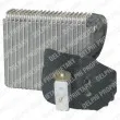DELPHI TSP0525080 - Evaporateur climatisation