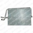 DELPHI TSP0525086 - Evaporateur climatisation