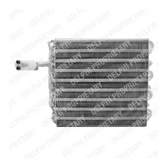 DELPHI TSP0525102 - Evaporateur climatisation