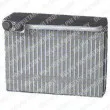 DELPHI TSP0525136 - Evaporateur climatisation