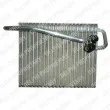DELPHI TSP0525138 - Evaporateur climatisation