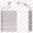 DELPHI TSP0525197 - Evaporateur climatisation